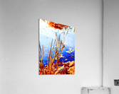 Reed Grasses  Acrylic Print