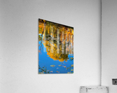 autumn reflection Acrylic Print