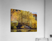 Arc de Treeomph Acrylic Print