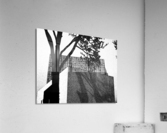 Shadowplay Acrylic Print