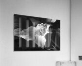 Drew Trillium Acrylic Print