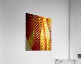 Dragon Wing Acrylic Print