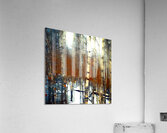 aspen dreams Acrylic Print