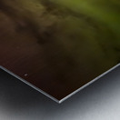 Prairie Lights: Aurora Over the Farm Metal print