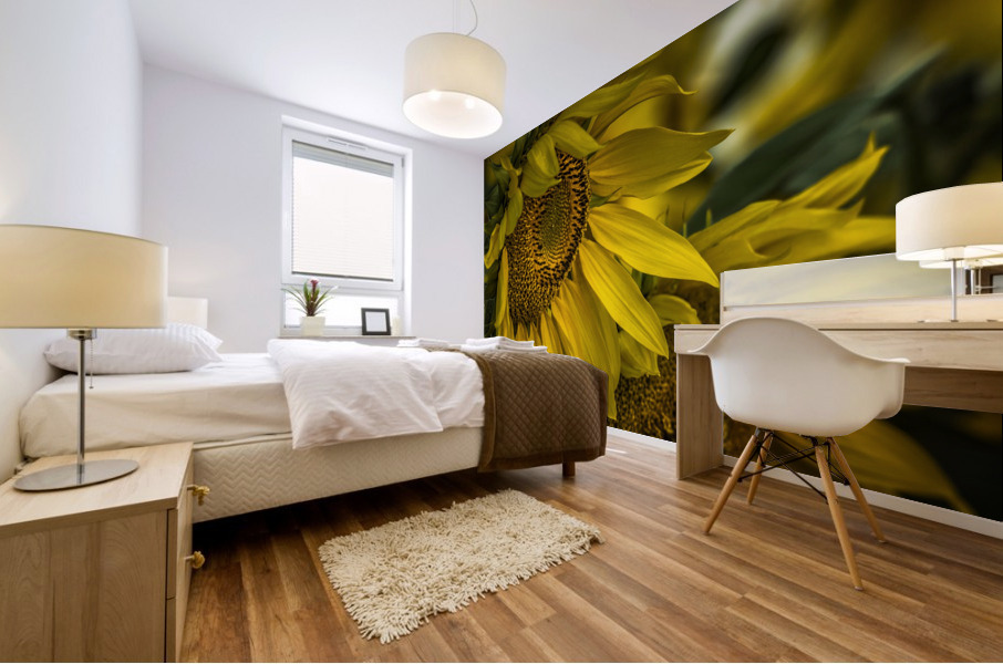 Sunflower Dawn  Mural print
