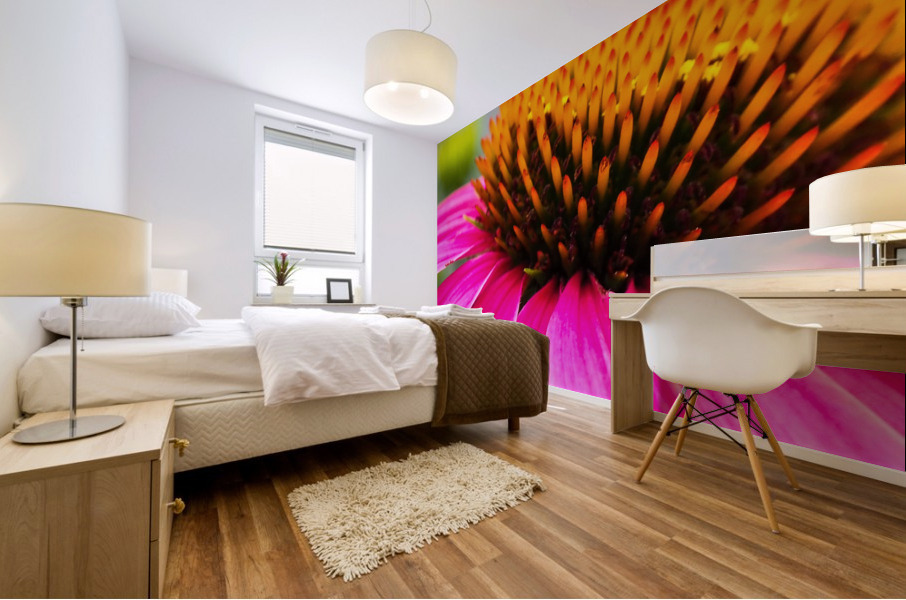 Cone Flower Mural print