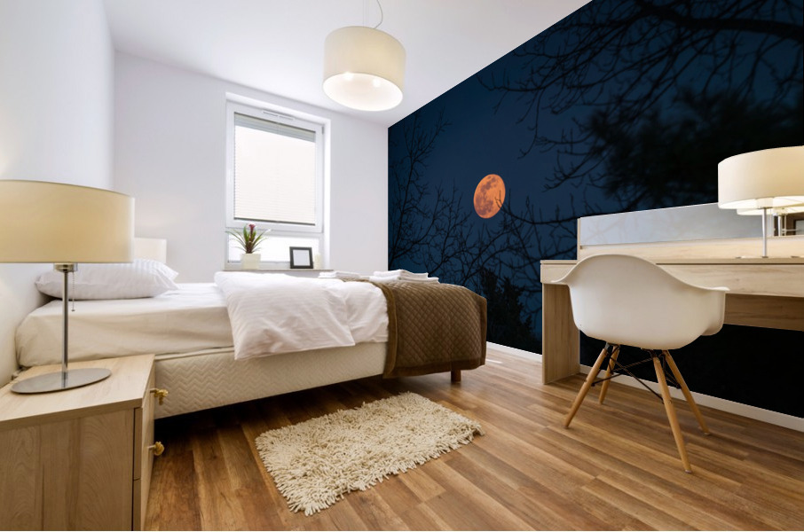 Moonrise Mural print