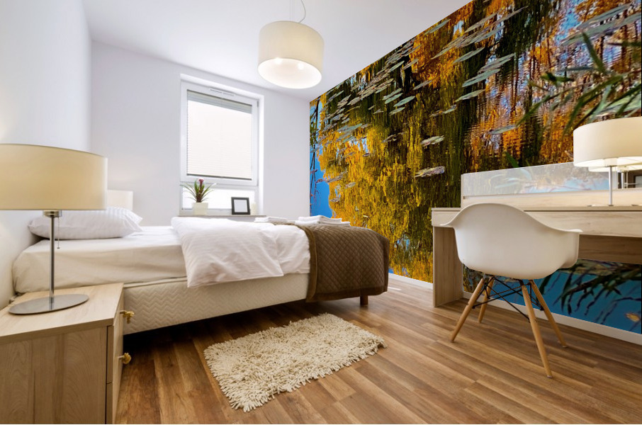 autumn reflection Mural print