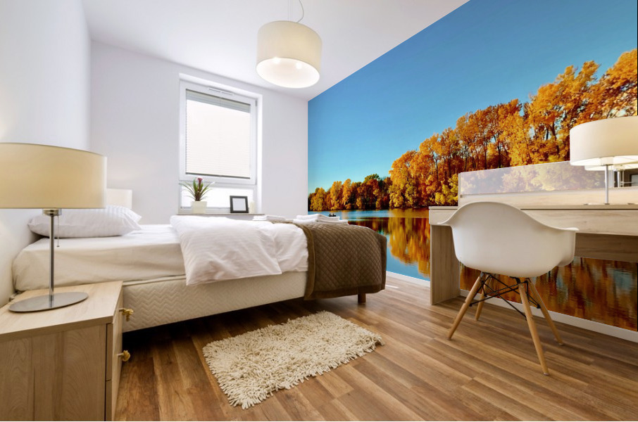Autumn Canoe Mural print