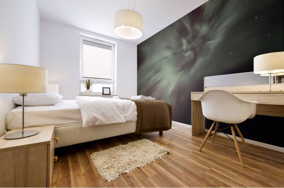 Aurora Flower 1 Mural print
