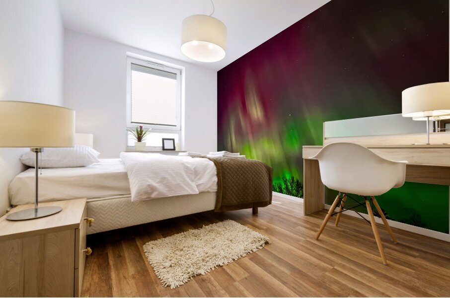 Aurora Nights Mural print