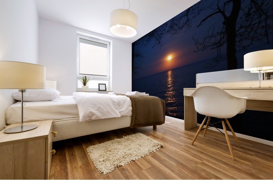 moon glow Mural print