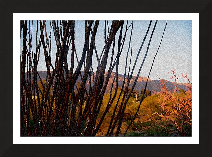 painted desert Picture Frame print