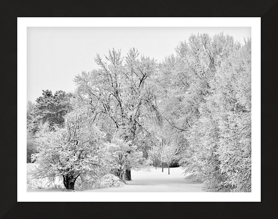 Winters Embrace Picture Frame print