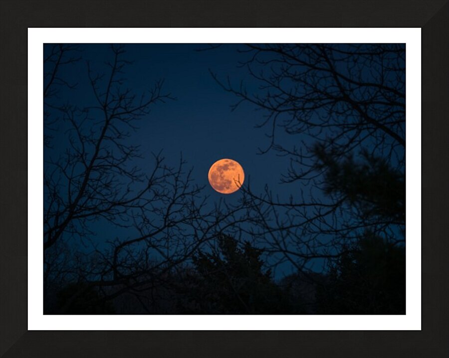 Moonrise Picture Frame print