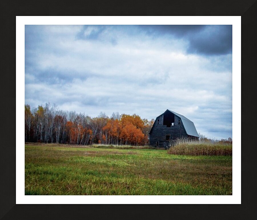 autumn barn Picture Frame print