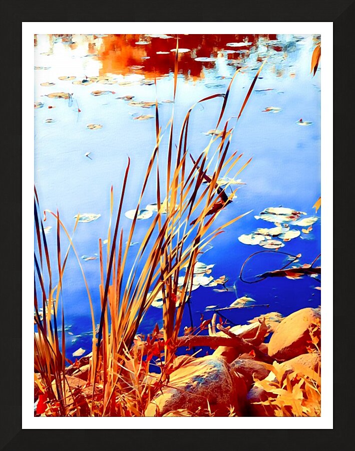 Reed Grasses  Picture Frame print