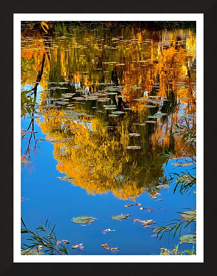 autumn reflection Picture Frame print