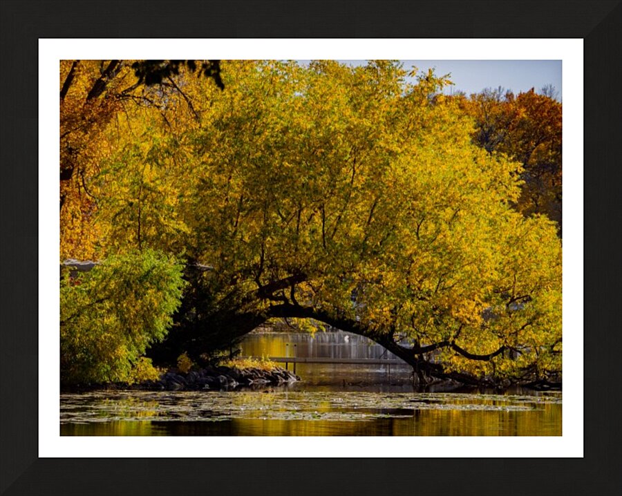 Arc de Treeomph Picture Frame print