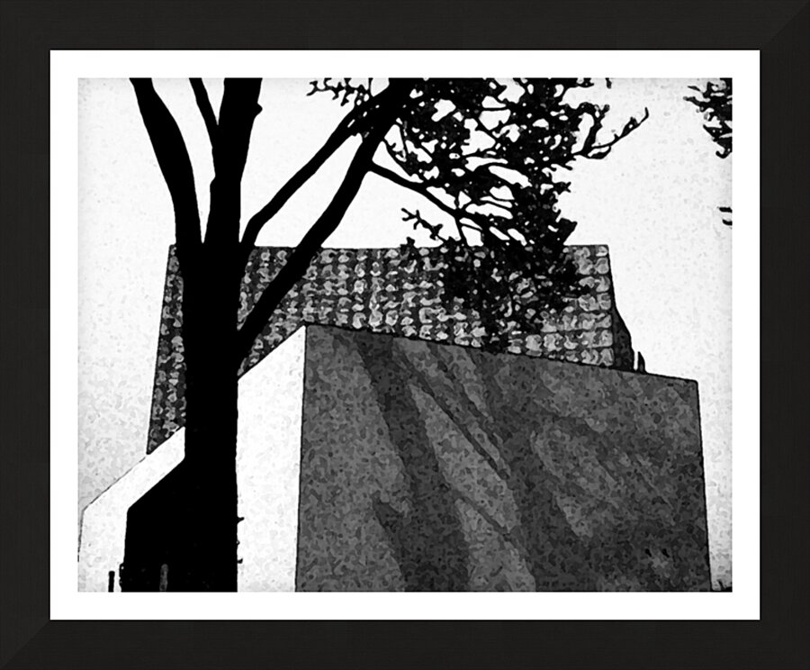 Shadowplay Picture Frame print