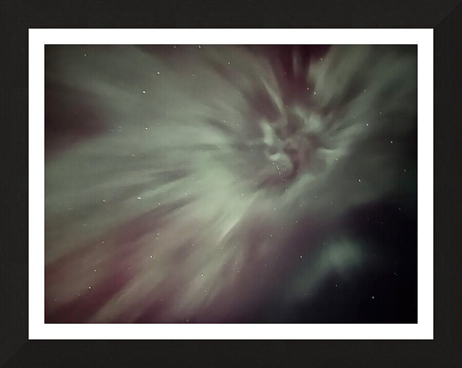 Aurora Flower 1 Picture Frame print