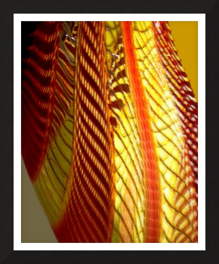 Dragon Wing Picture Frame print