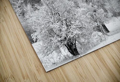 Winters Embrace Lisa Drew puzzle