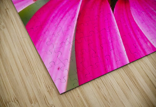Cone Flower Lisa Drew puzzle
