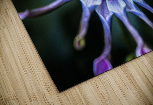 purple alien Lisa Drew puzzle