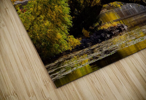 Arc de Treeomph Lisa Drew puzzle
