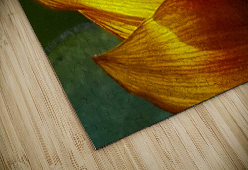 Petal Glow Lisa Drew puzzle
