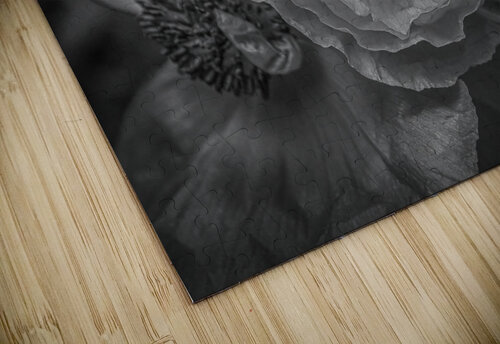 Night Poppies Lisa Drew puzzle