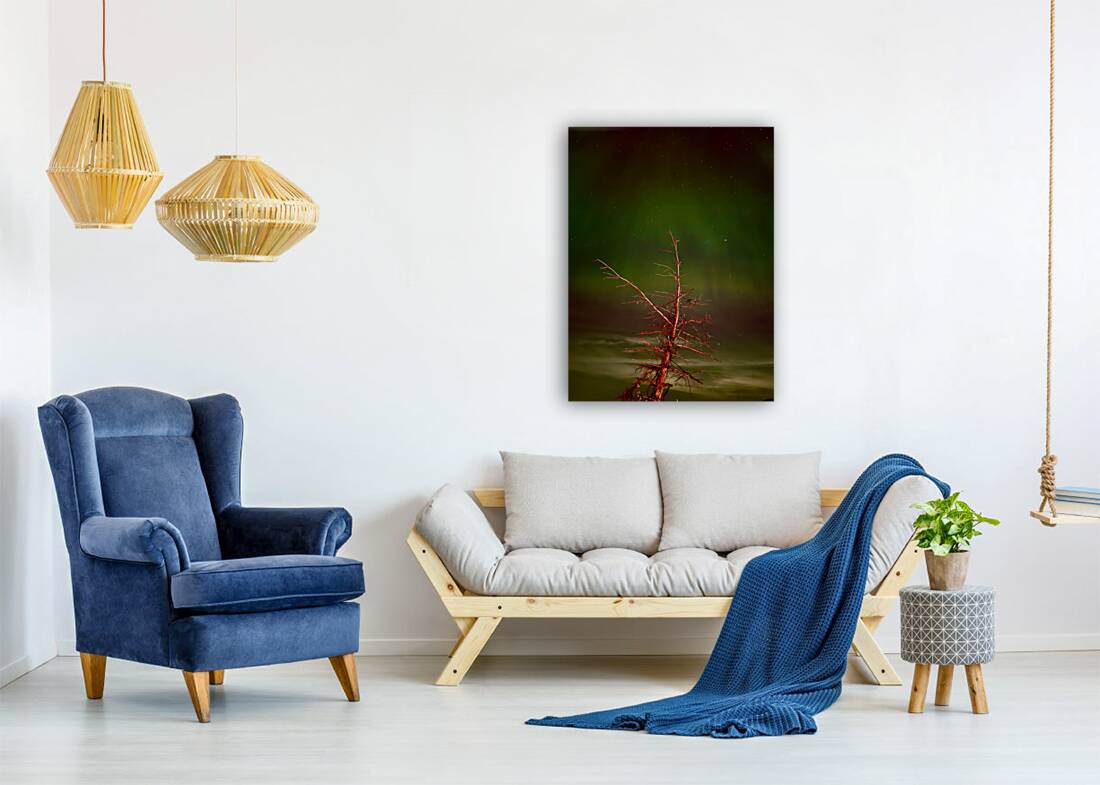 Ghost Tree Under the Northern Lights Reproduction