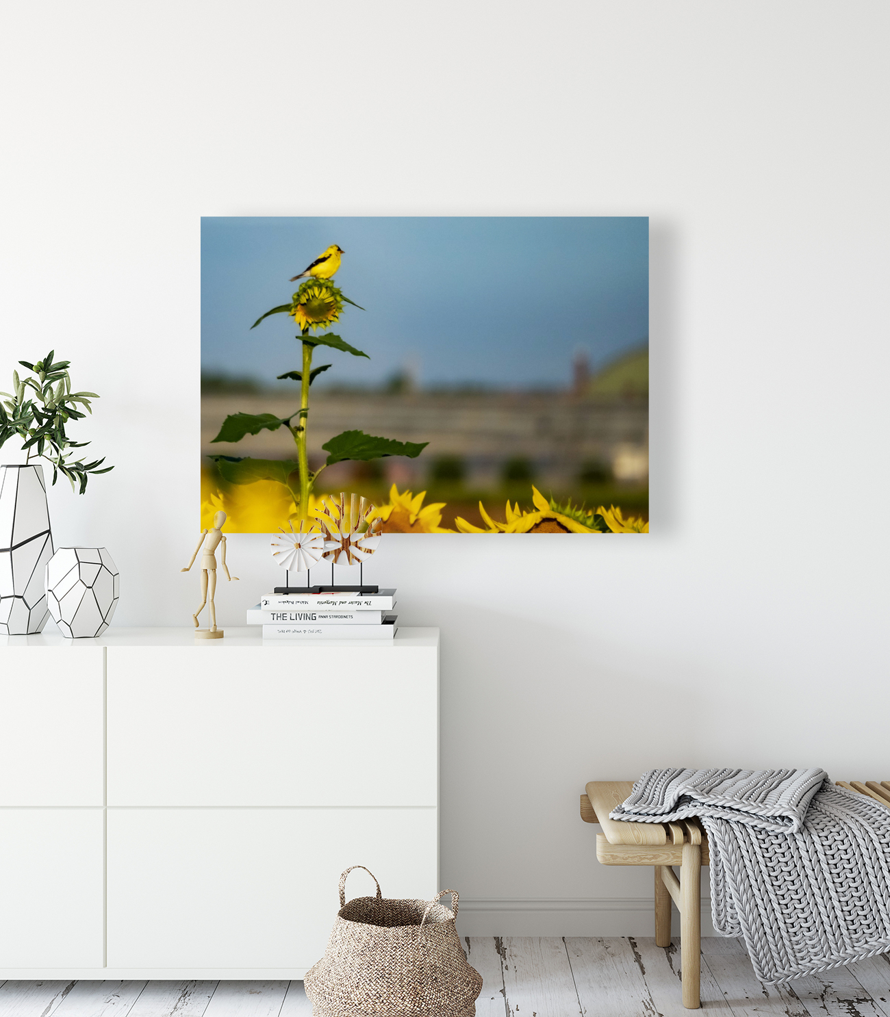 Sunflower Perch Reproduction