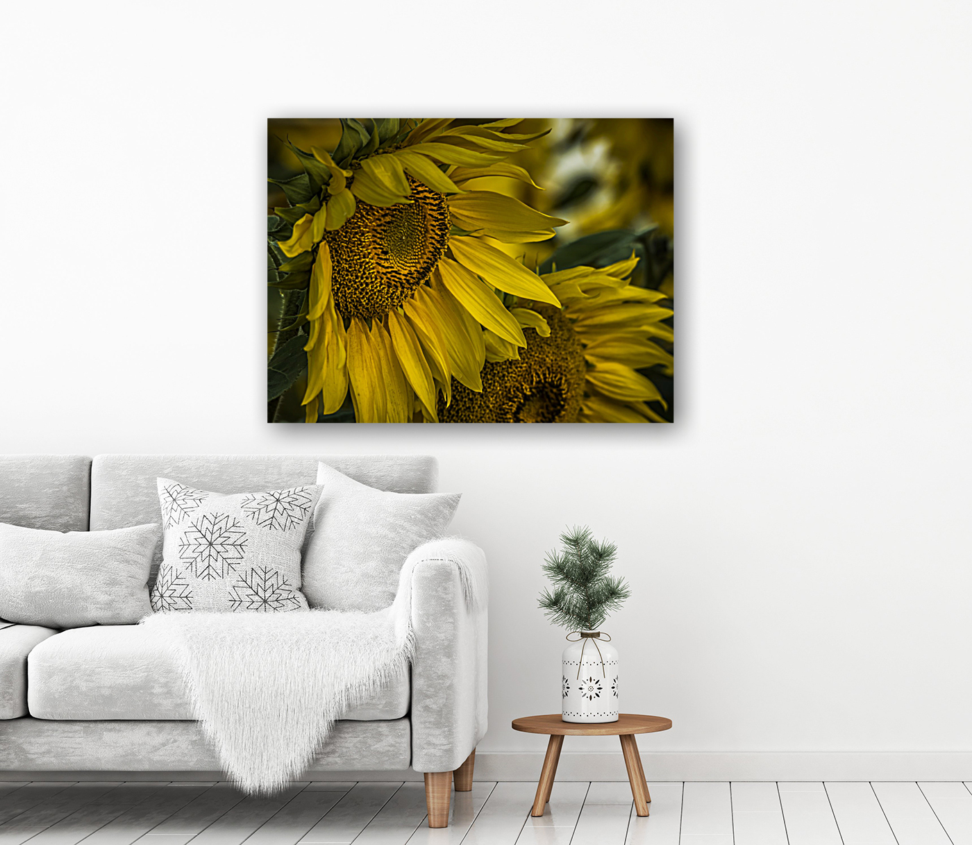 Sunflower Dawn  Reproduction
