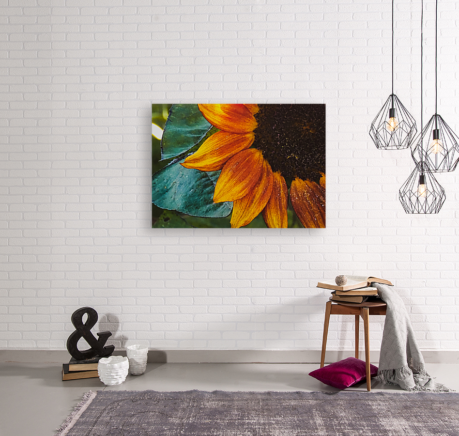 fall petals Reproduction