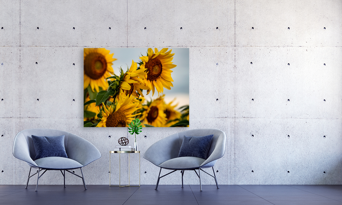 dancing in the sun Reproduction