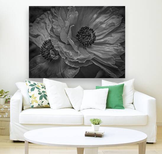 Night Poppies Reproduction