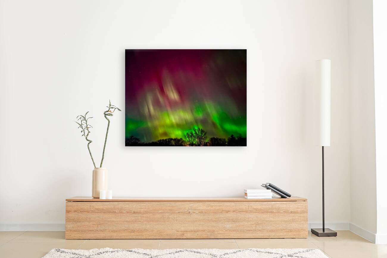 Aurora Nights Reproduction