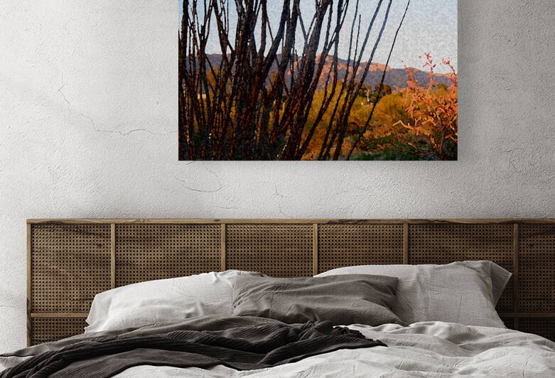 painted desert by Lisa Drew