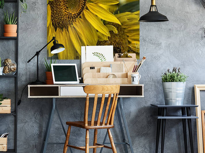 Sunflower Dawn  Reproduction