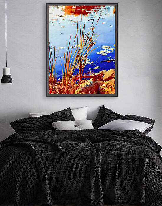 Reed Grasses  by Lisa Drew