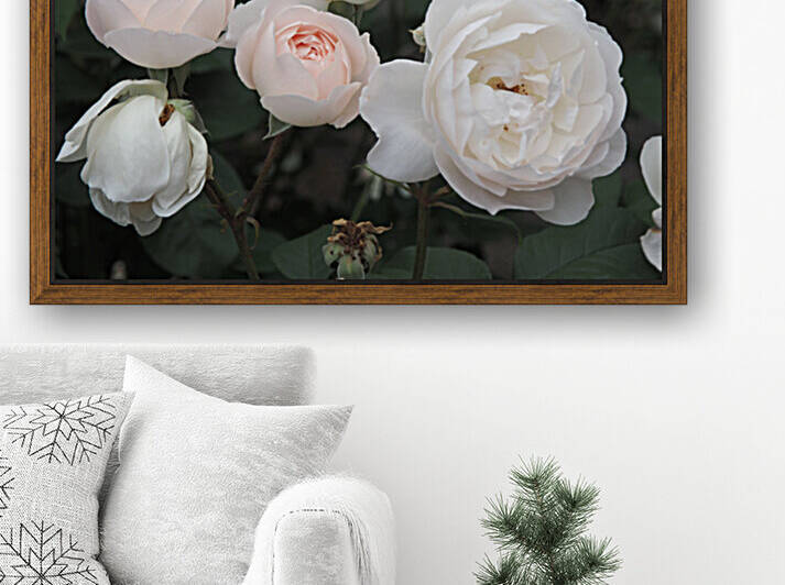 oregon blush by Lisa Drew