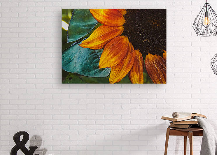 fall petals Reproduction