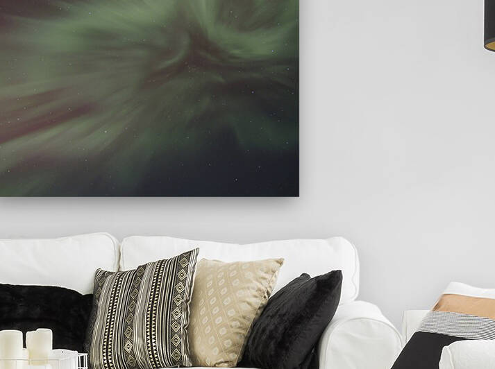 Aurora Flower 2  by Lisa Drew