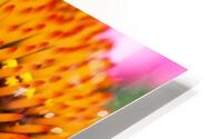 Cone Flower HD Metal print