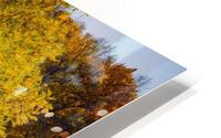 Arc de Treeomph HD Metal print