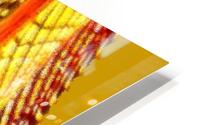 Dragon Wing HD Metal print