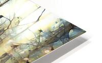 aspen dreams HD Metal print
