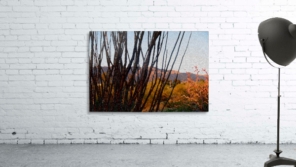 painted desert Wall Preview